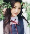 君子蘭葉子發黃(君子蘭葉子發黃是什么原因)