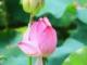 吳亦凡回應(yīng)趙麗穎官宣(趙麗穎回應(yīng)吳亦凡戀情)