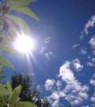 今天猴準(zhǔn)運(yùn)勢及運(yùn)程(今日運(yùn)程屬猴)